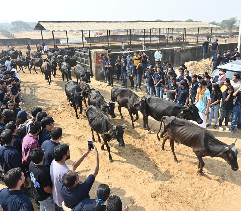 Neera Bawa Program (Since 2016)